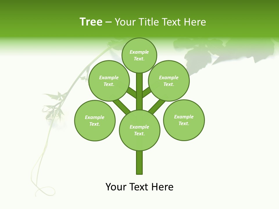 Feuille Petroselinum Sativum Vrilles PowerPoint Template