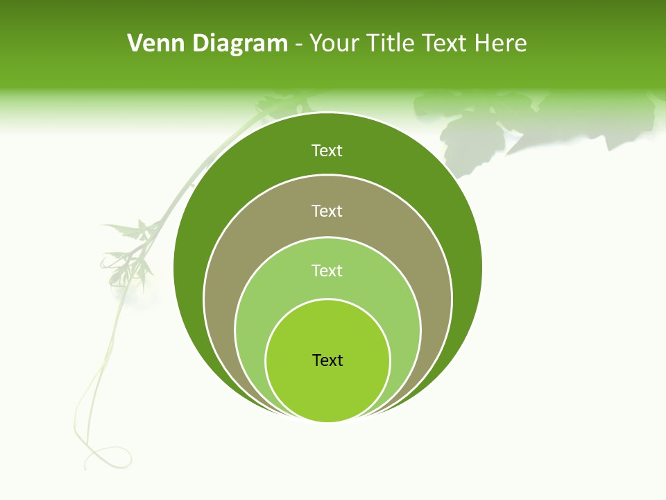 Feuille Petroselinum Sativum Vrilles PowerPoint Template