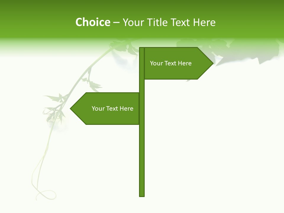 Feuille Petroselinum Sativum Vrilles PowerPoint Template