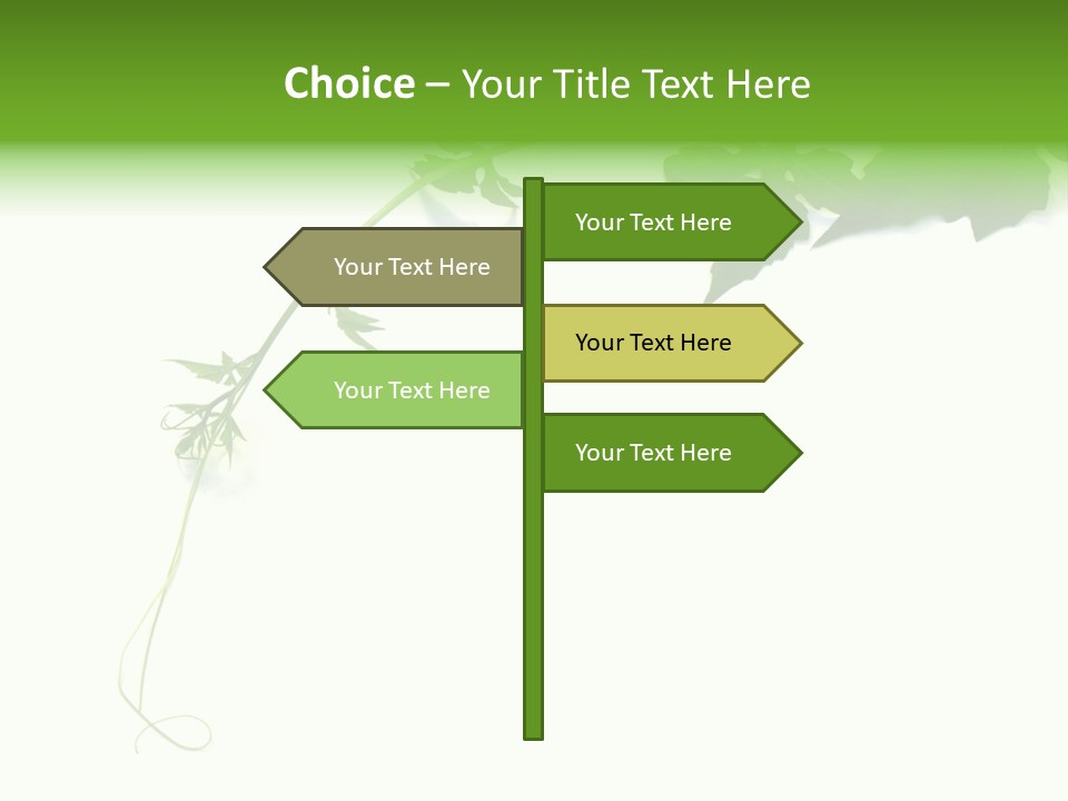 Feuille Petroselinum Sativum Vrilles PowerPoint Template