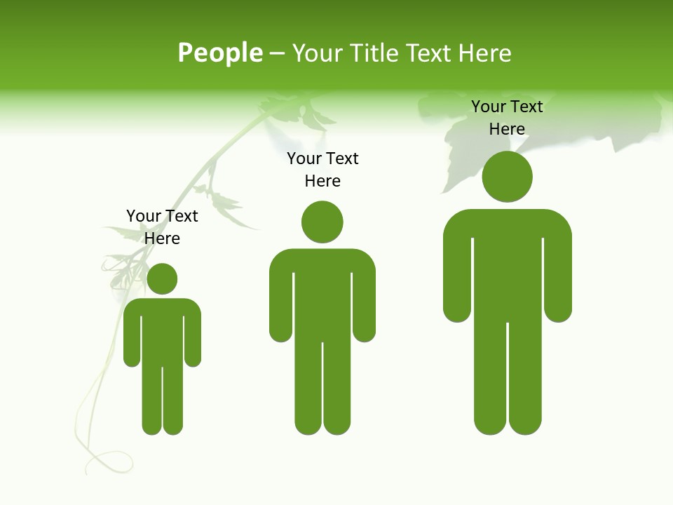 Feuille Petroselinum Sativum Vrilles PowerPoint Template