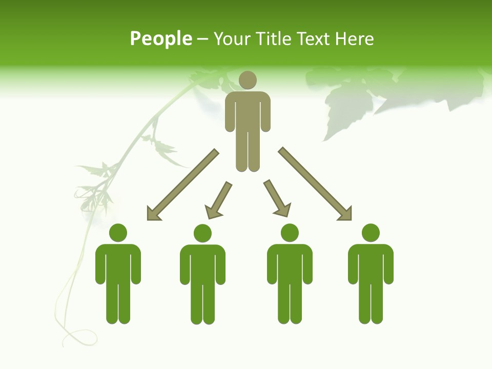 Feuille Petroselinum Sativum Vrilles PowerPoint Template