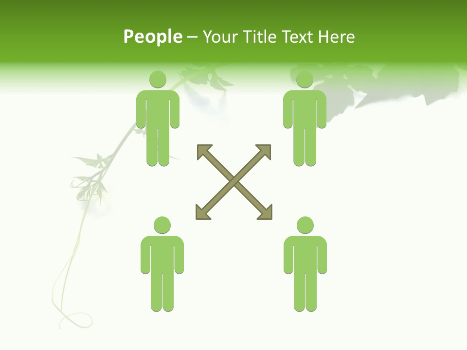 Feuille Petroselinum Sativum Vrilles PowerPoint Template