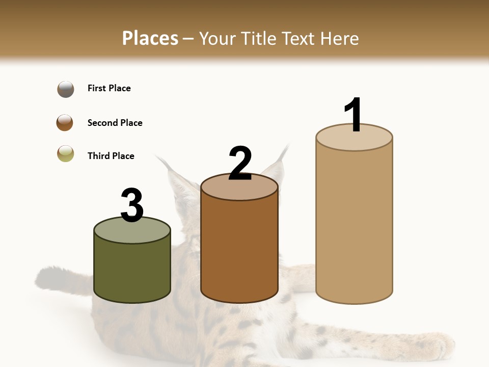 Purebred Cat Ears Isolated On White PowerPoint Template