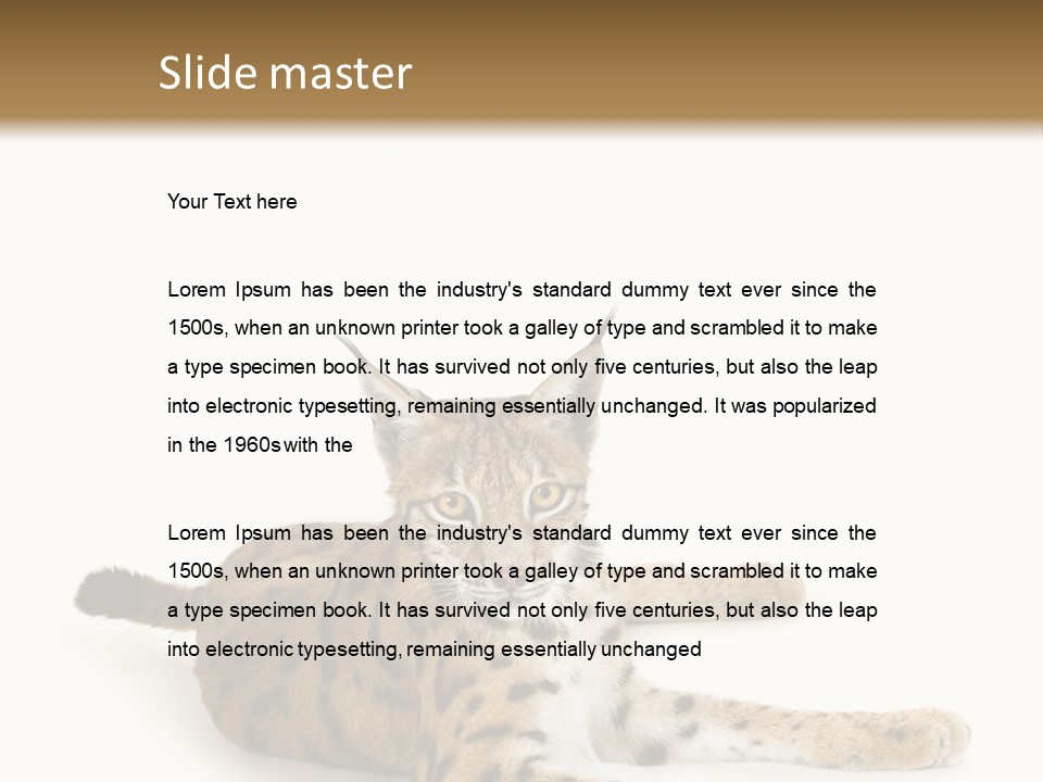 Purebred Cat Ears Isolated On White PowerPoint Template