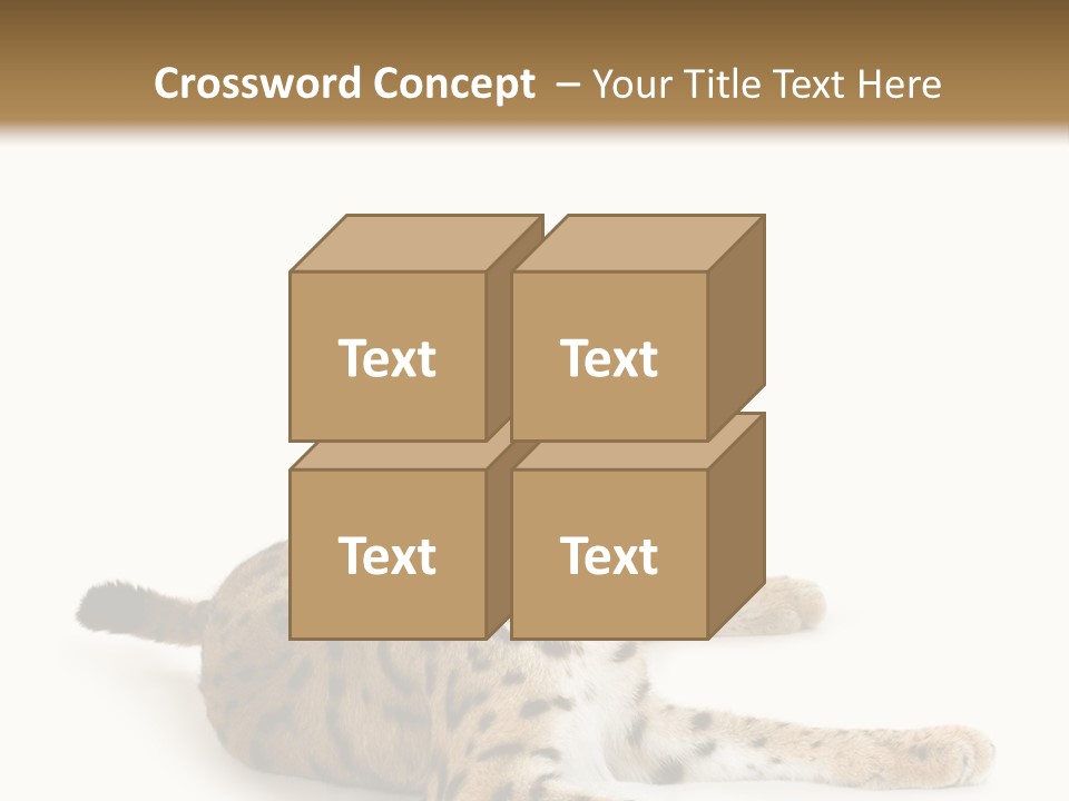 Purebred Cat Ears Isolated On White PowerPoint Template