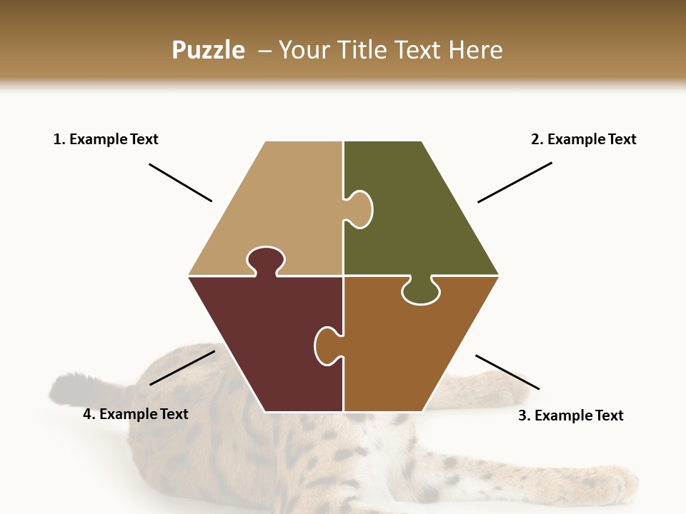 Purebred Cat Ears Isolated On White PowerPoint Template