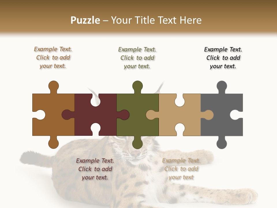 Purebred Cat Ears Isolated On White PowerPoint Template