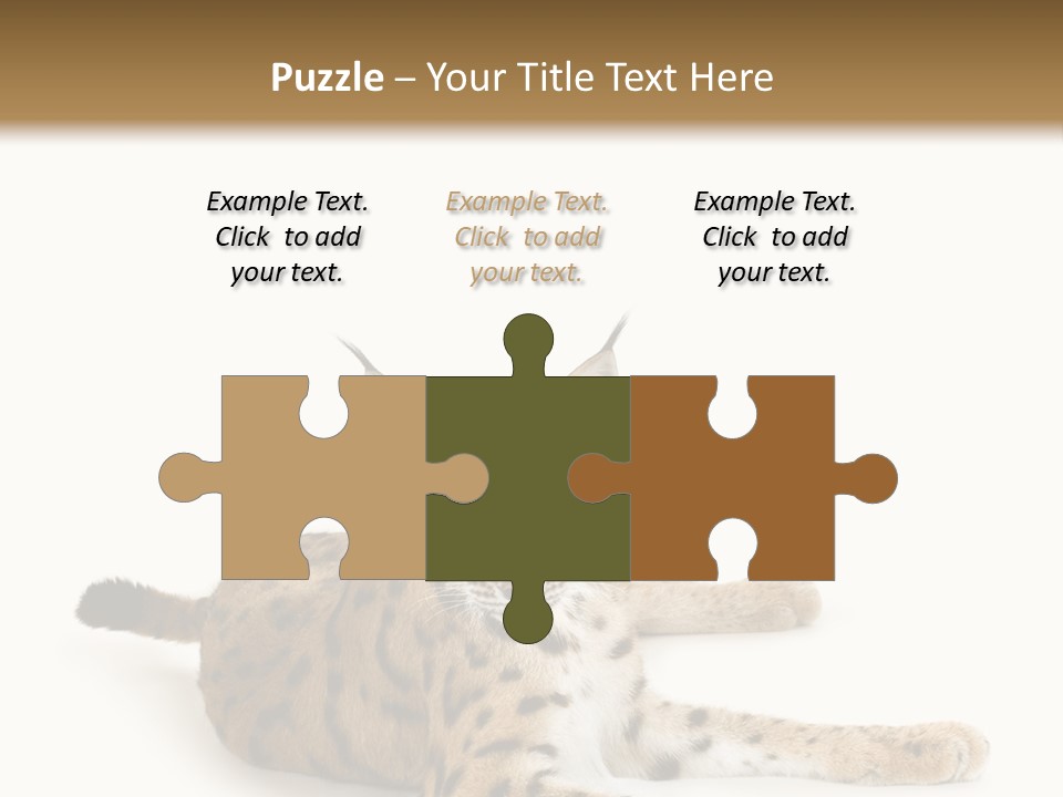 Purebred Cat Ears Isolated On White PowerPoint Template