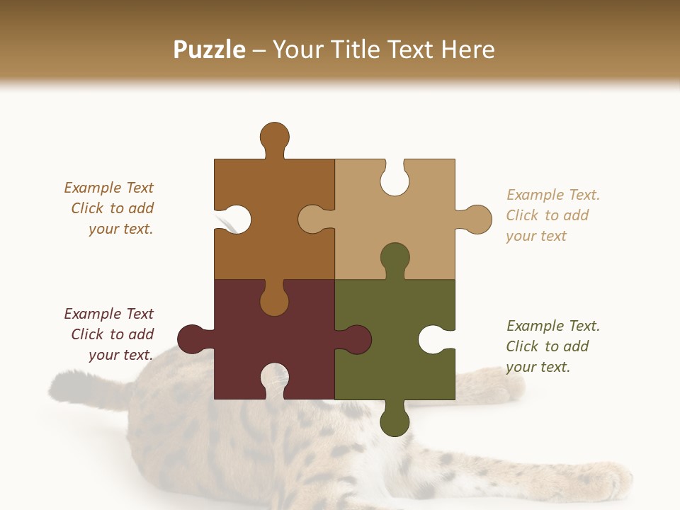 Purebred Cat Ears Isolated On White PowerPoint Template