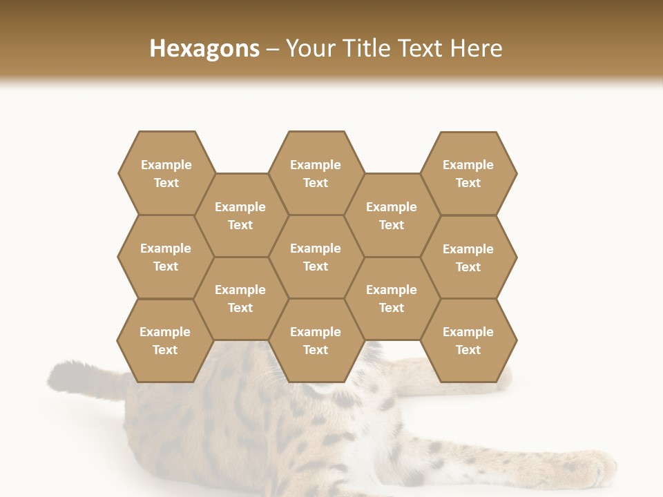 Purebred Cat Ears Isolated On White PowerPoint Template