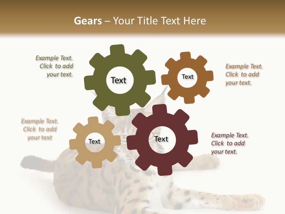 Purebred Cat Ears Isolated On White PowerPoint Template