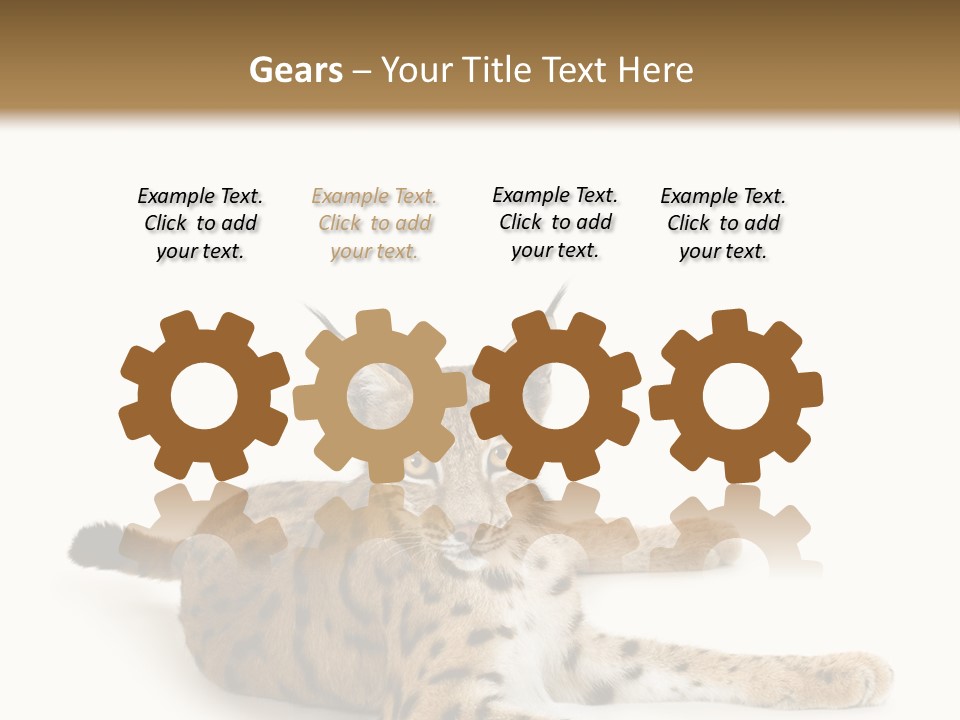 Purebred Cat Ears Isolated On White PowerPoint Template