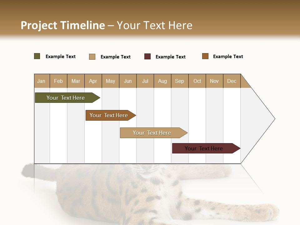 Purebred Cat Ears Isolated On White PowerPoint Template