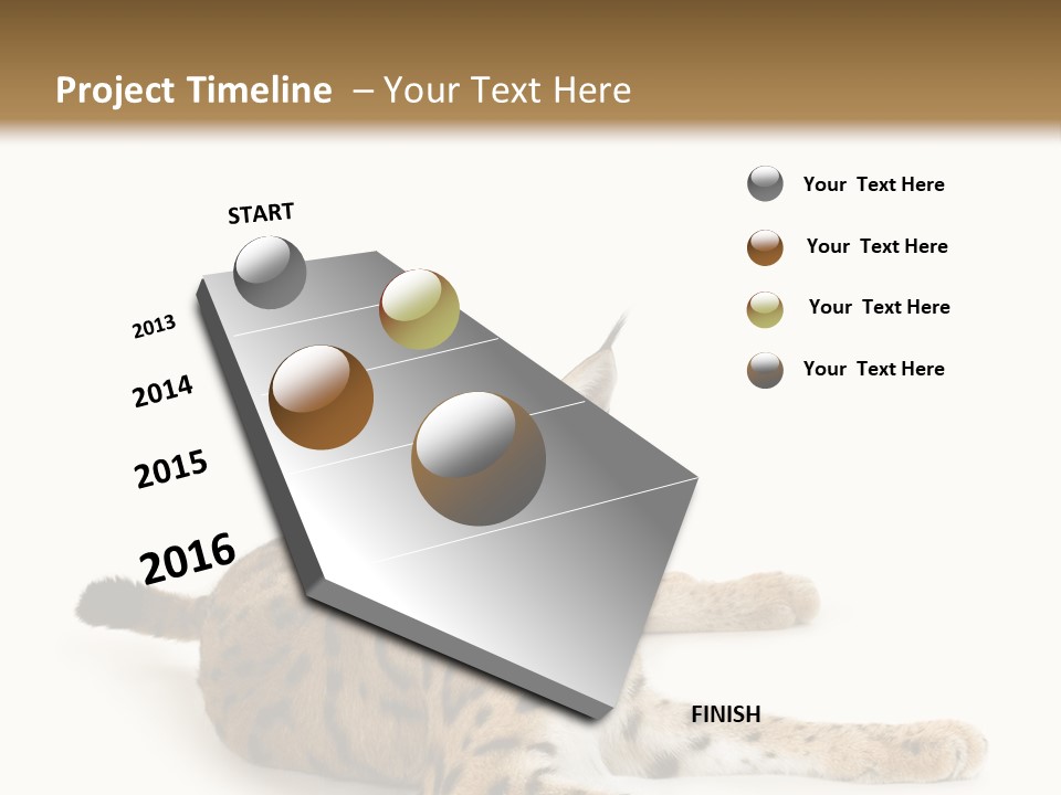 Purebred Cat Ears Isolated On White PowerPoint Template