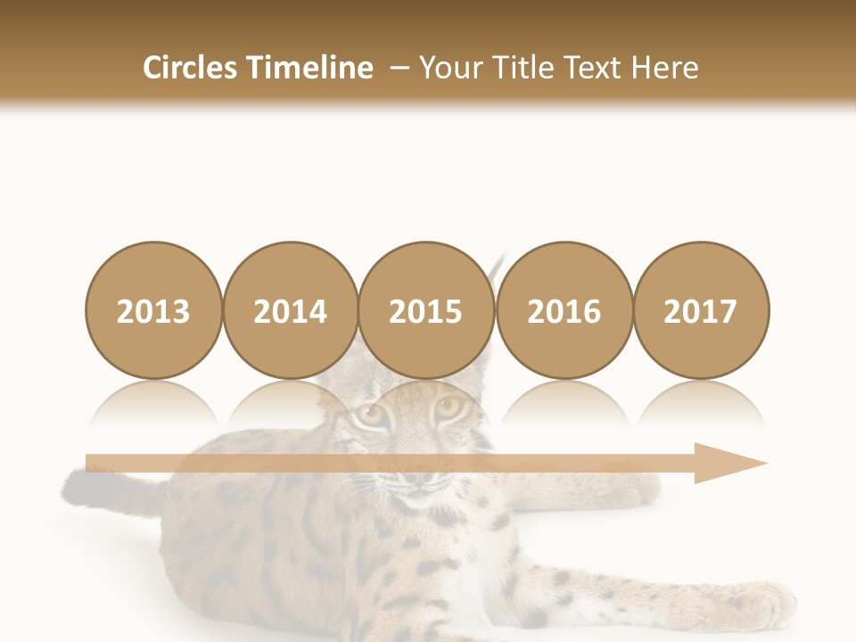 Purebred Cat Ears Isolated On White PowerPoint Template