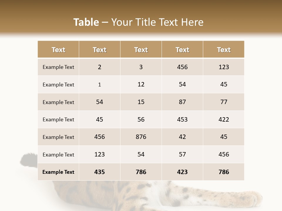 Purebred Cat Ears Isolated On White PowerPoint Template