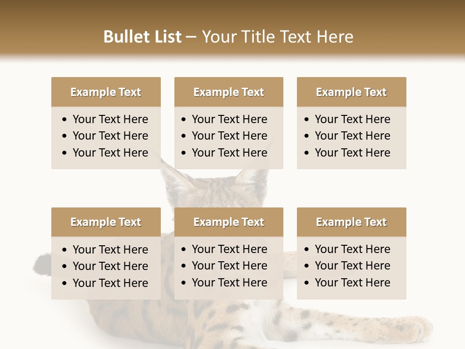 Purebred Cat Ears Isolated On White PowerPoint Template