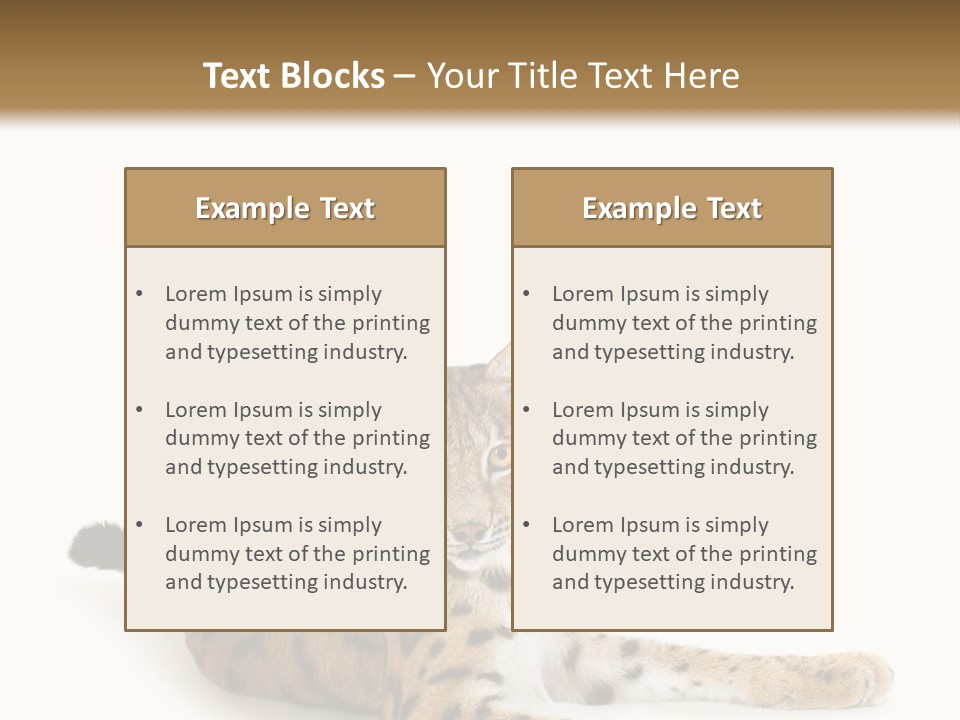 Purebred Cat Ears Isolated On White PowerPoint Template