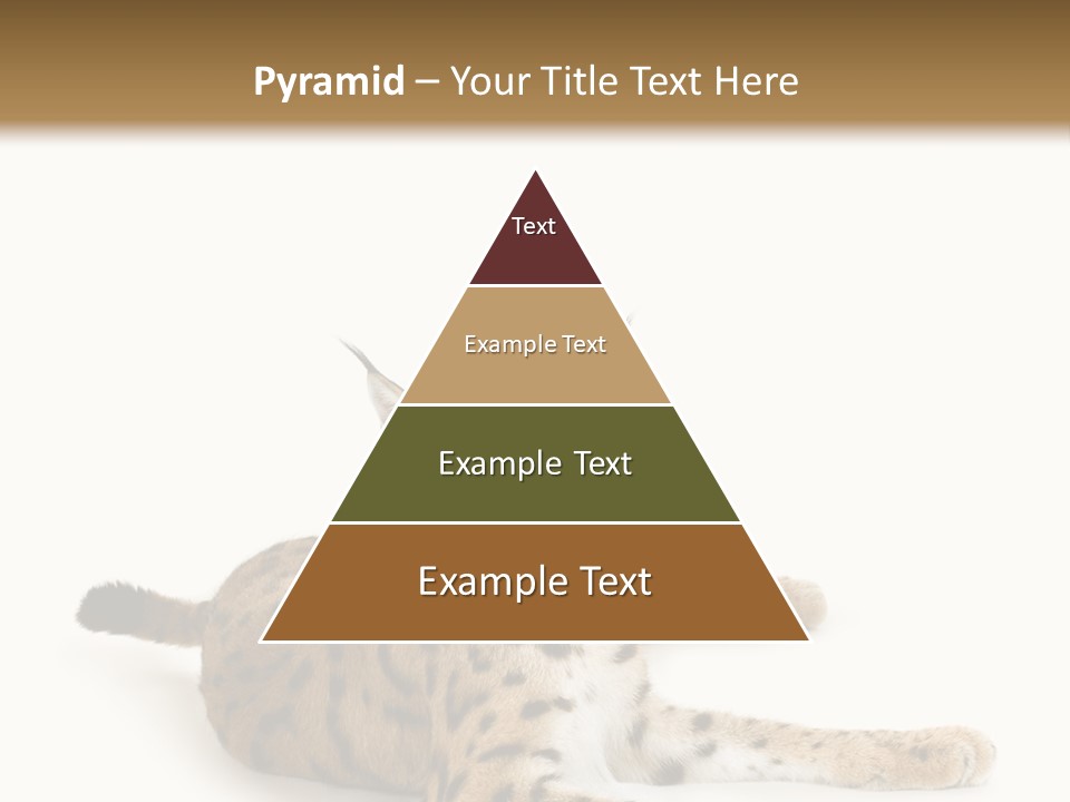 Purebred Cat Ears Isolated On White PowerPoint Template