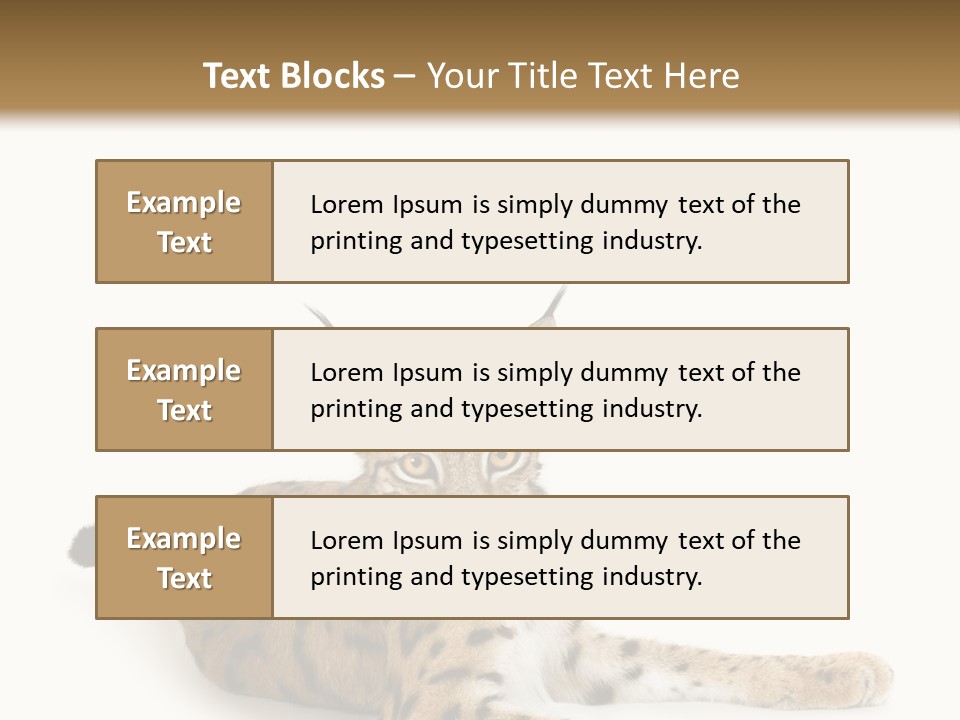 Purebred Cat Ears Isolated On White PowerPoint Template