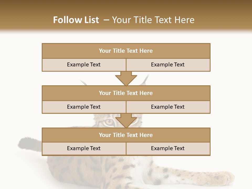 Purebred Cat Ears Isolated On White PowerPoint Template