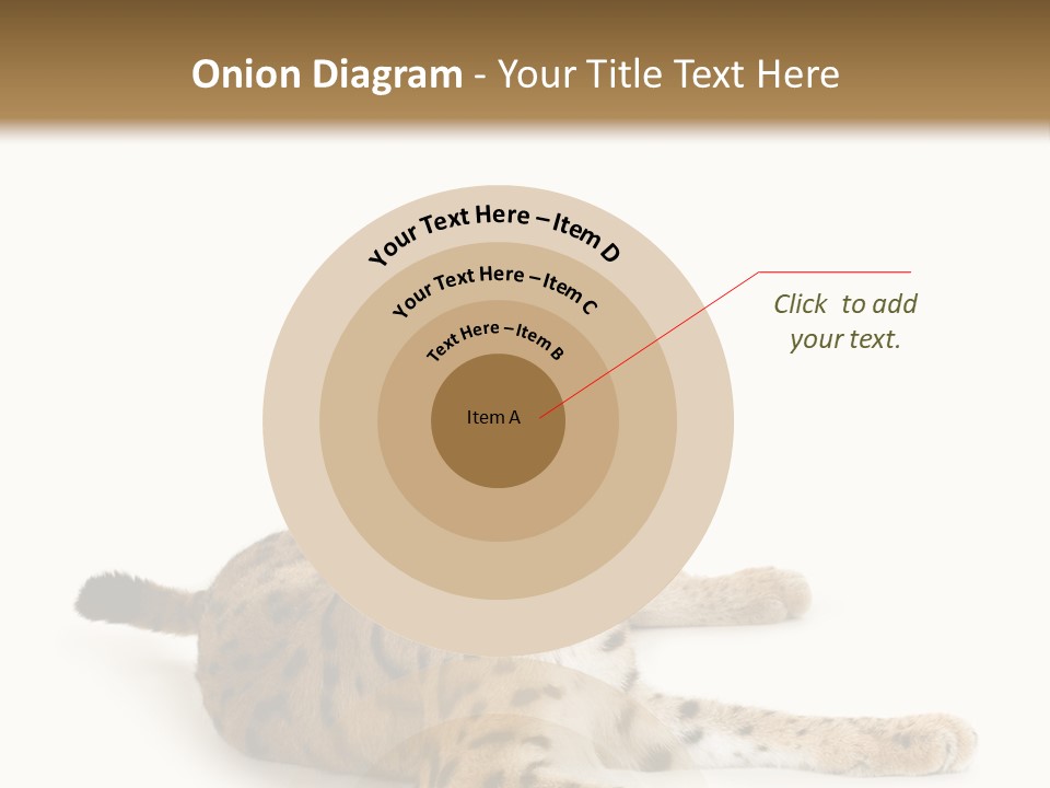 Purebred Cat Ears Isolated On White PowerPoint Template