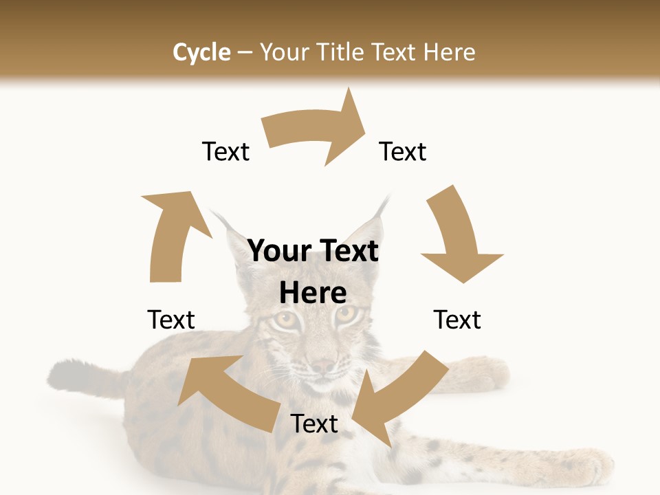 Purebred Cat Ears Isolated On White PowerPoint Template