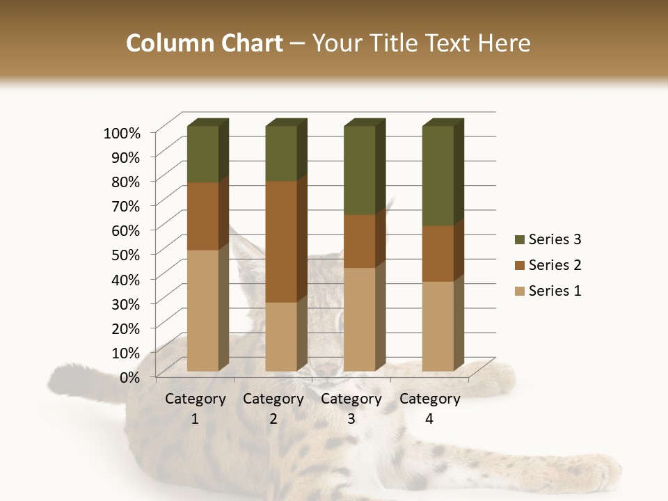 Purebred Cat Ears Isolated On White PowerPoint Template