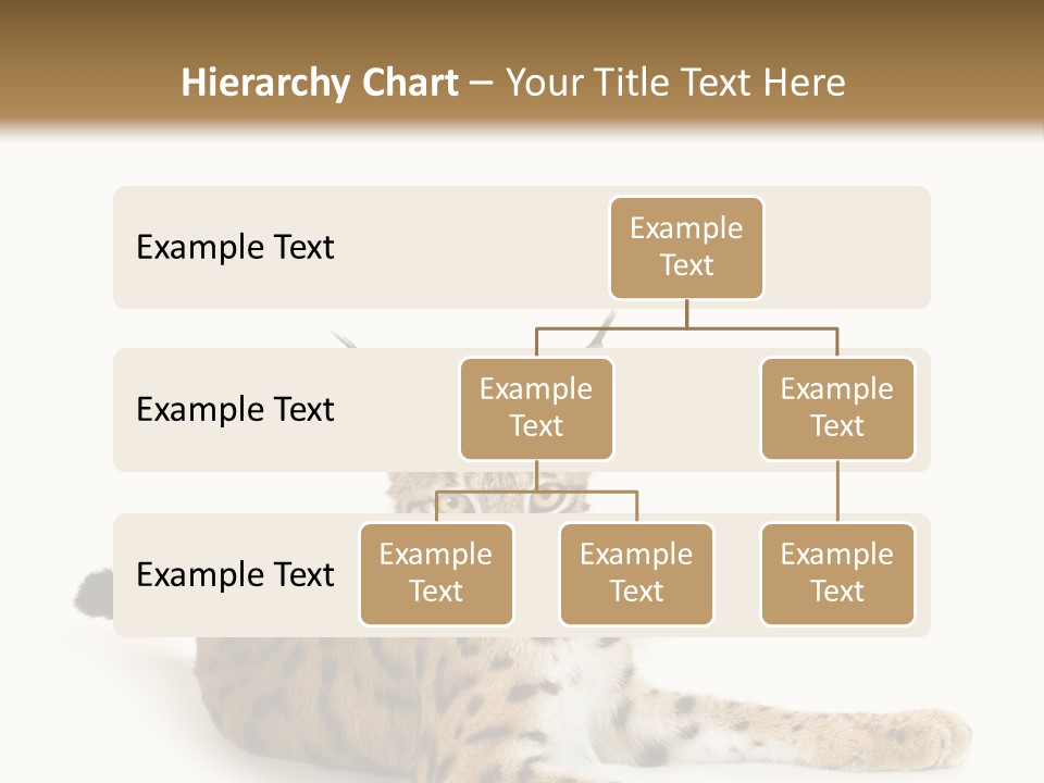 Purebred Cat Ears Isolated On White PowerPoint Template