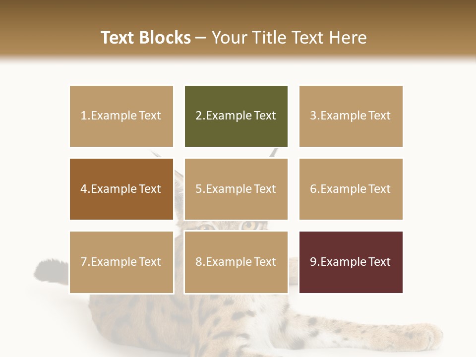 Purebred Cat Ears Isolated On White PowerPoint Template