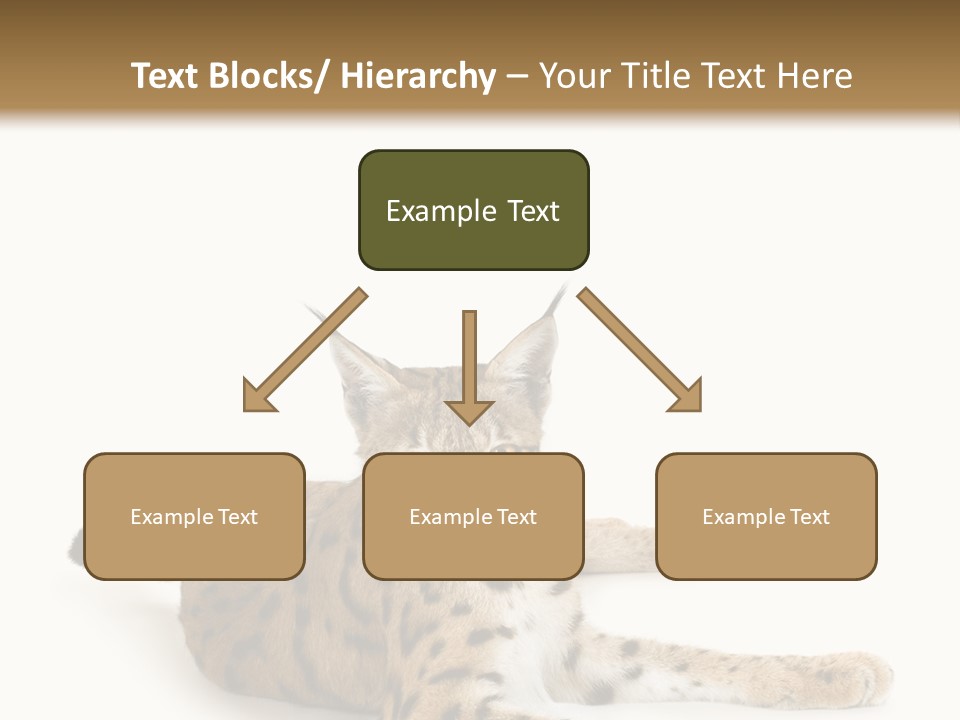 Purebred Cat Ears Isolated On White PowerPoint Template