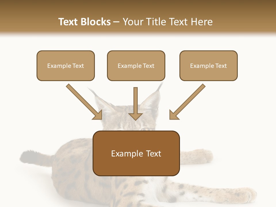 Purebred Cat Ears Isolated On White PowerPoint Template