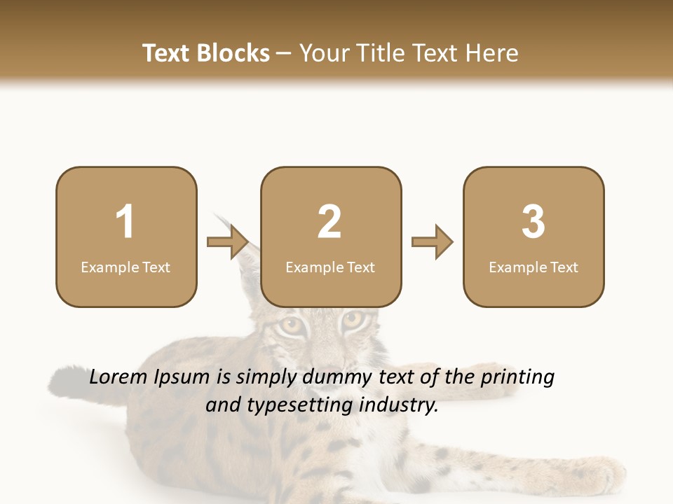 Purebred Cat Ears Isolated On White PowerPoint Template