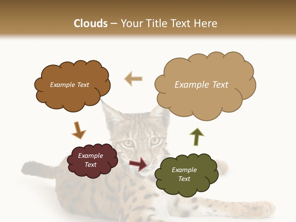 Purebred Cat Ears Isolated On White PowerPoint Template