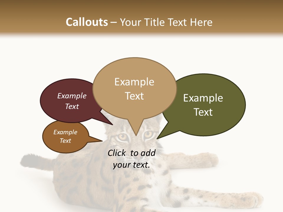 Purebred Cat Ears Isolated On White PowerPoint Template