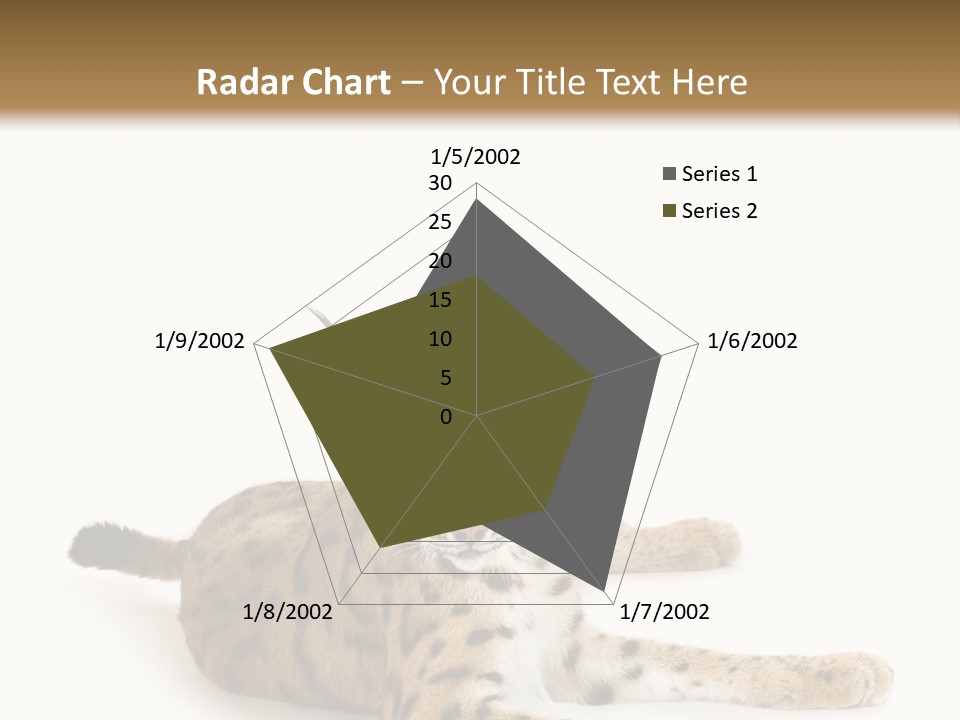 Purebred Cat Ears Isolated On White PowerPoint Template