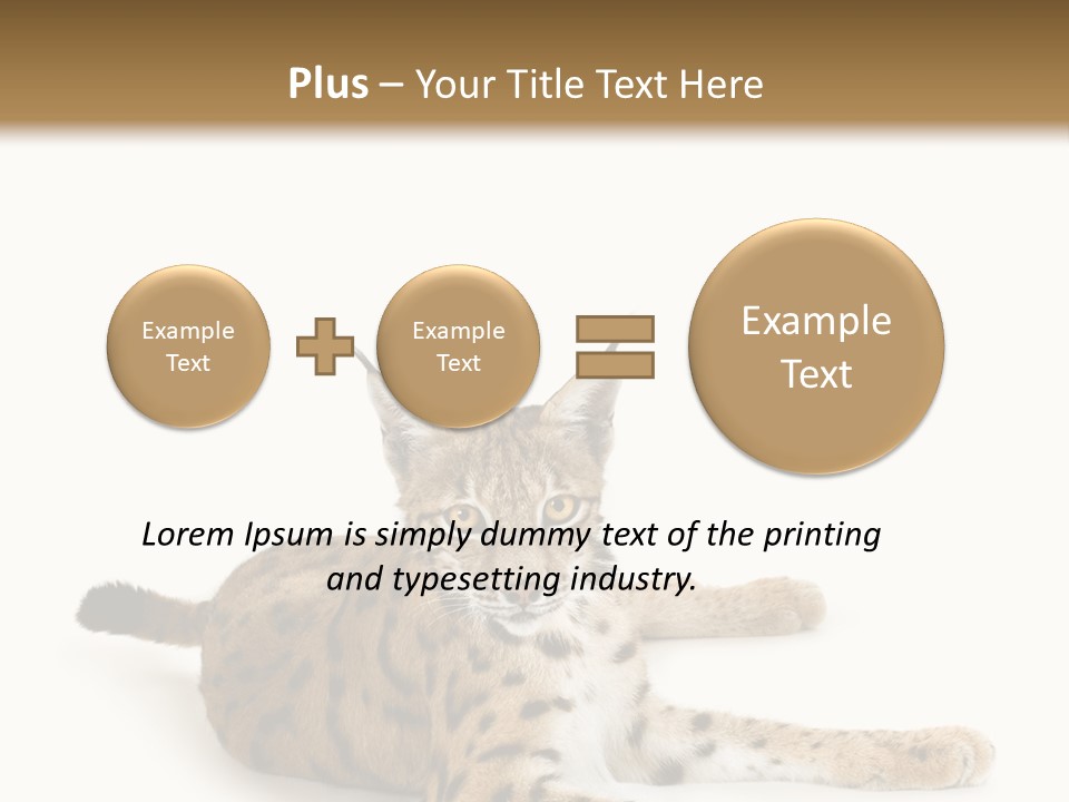 Purebred Cat Ears Isolated On White PowerPoint Template