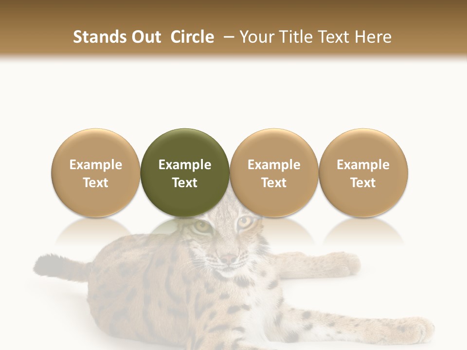 Purebred Cat Ears Isolated On White PowerPoint Template