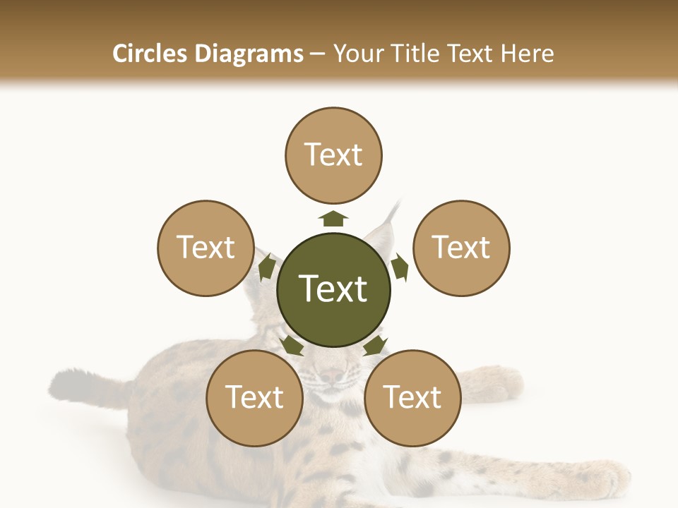 Purebred Cat Ears Isolated On White PowerPoint Template