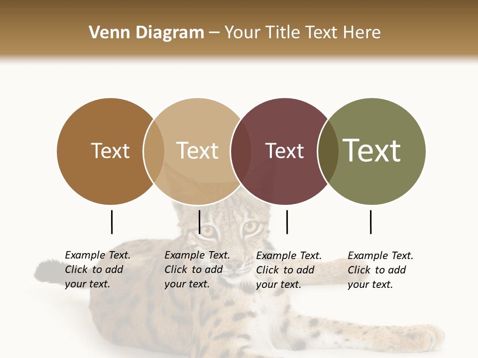 Purebred Cat Ears Isolated On White PowerPoint Template