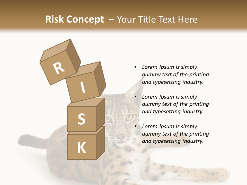 Purebred Cat Ears Isolated On White PowerPoint Template