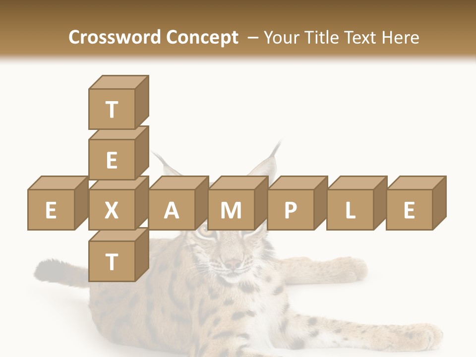 Purebred Cat Ears Isolated On White PowerPoint Template