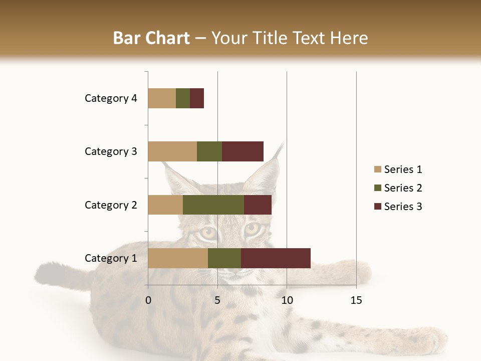 Purebred Cat Ears Isolated On White PowerPoint Template