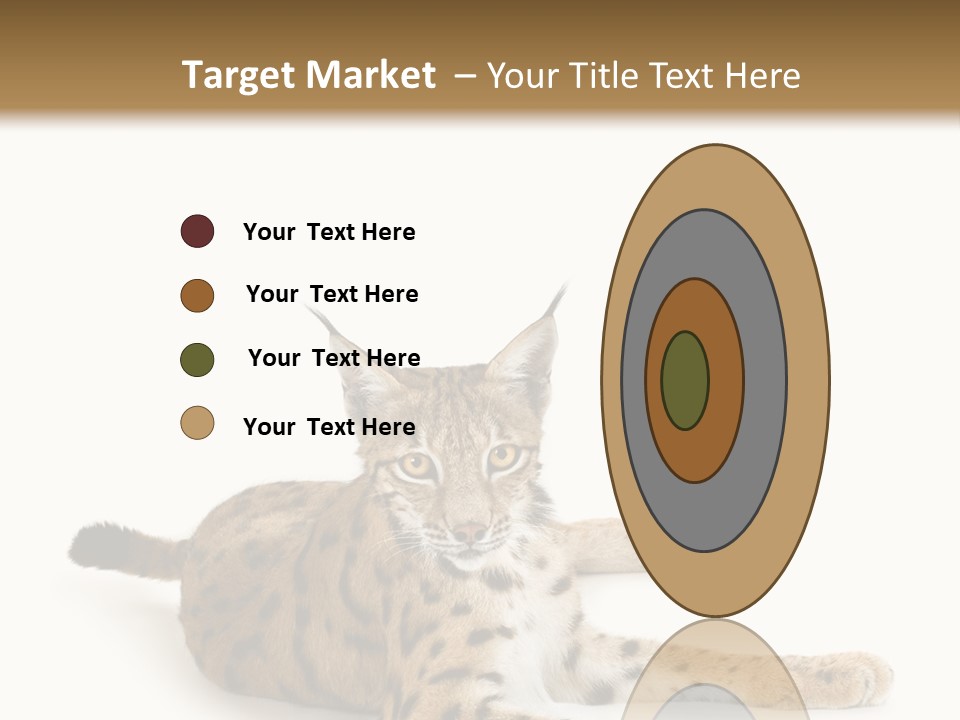 Purebred Cat Ears Isolated On White PowerPoint Template