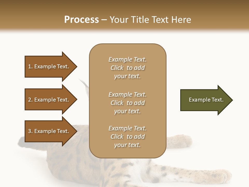 Purebred Cat Ears Isolated On White PowerPoint Template