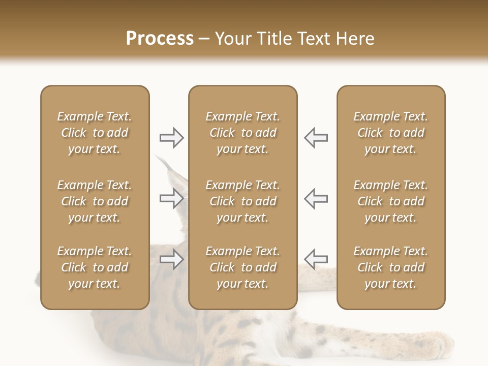 Purebred Cat Ears Isolated On White PowerPoint Template