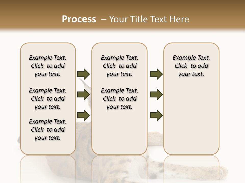 Purebred Cat Ears Isolated On White PowerPoint Template