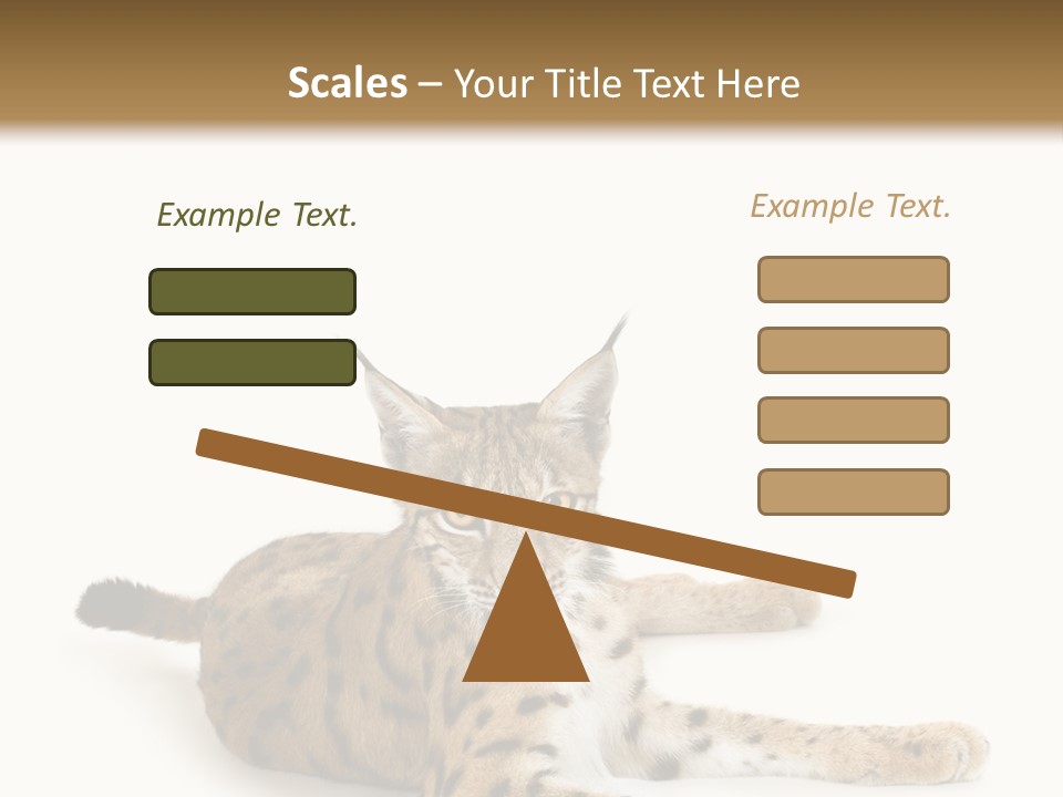 Purebred Cat Ears Isolated On White PowerPoint Template