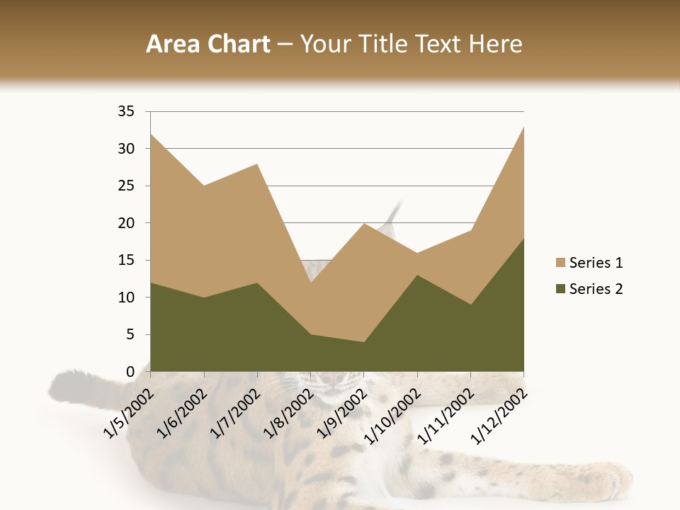 Purebred Cat Ears Isolated On White PowerPoint Template